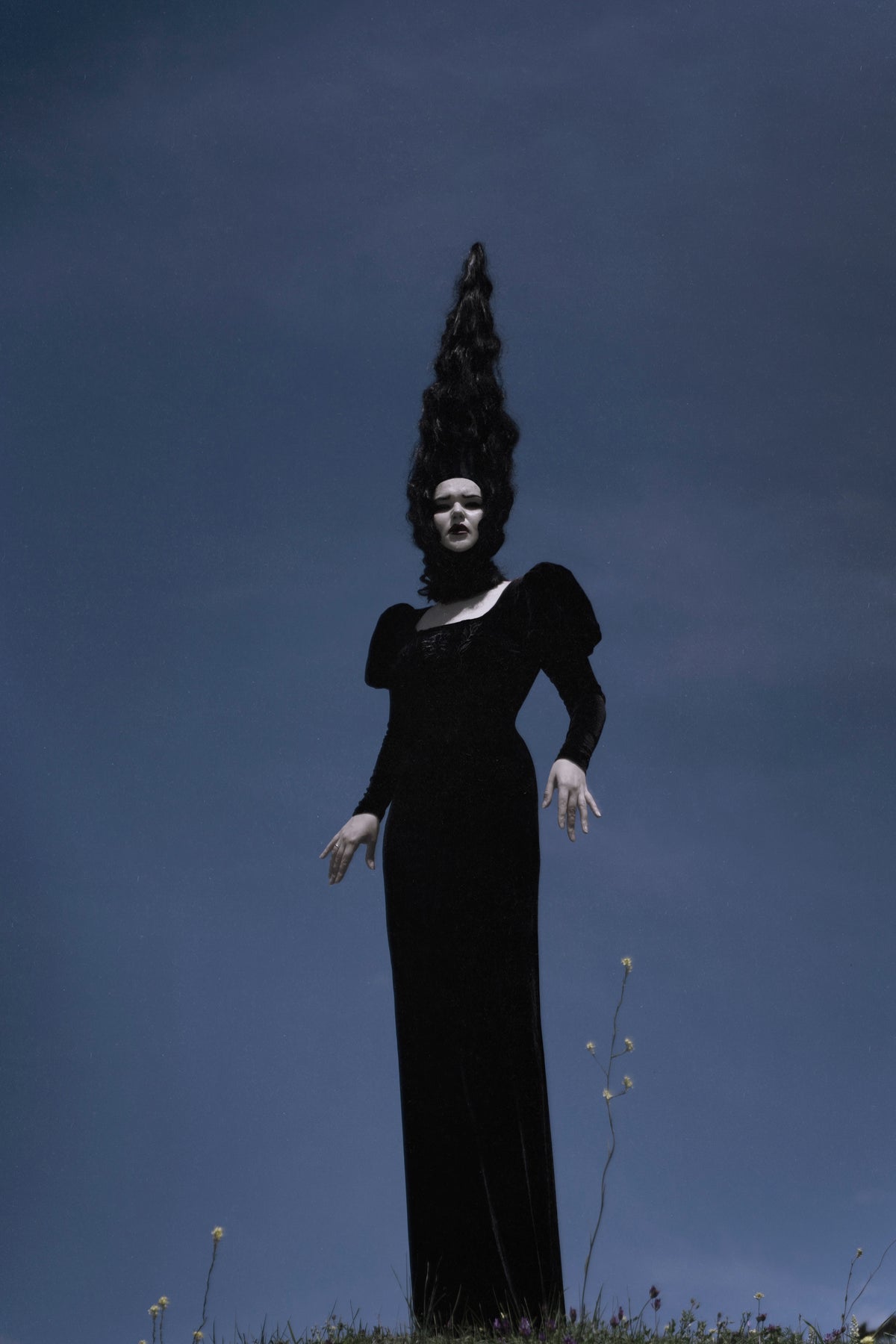 The Howling Dress - Black