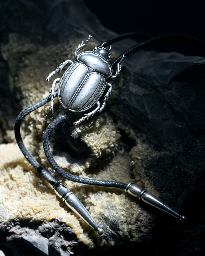 Silver beetle pendant on a black cord against a dark background