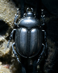 Close-up of a darkling beetle on a textured surface