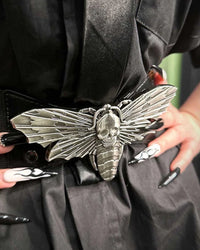 Elastic Waist Belt Moth
